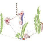 Seahorse Design EA21834