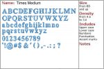 Times Medium - Image 2