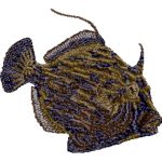Fish 18