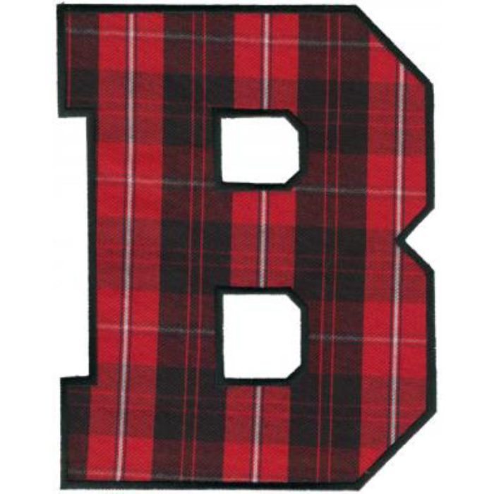 Brush,Athletic-Appb - Image 1