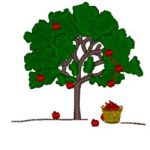 Apple Tree