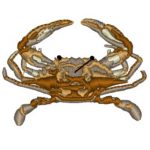 Blue Crab