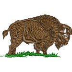 Buffalo