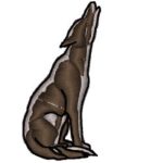 Coyote Howling