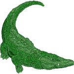 Crocodile