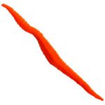 Design Accents-Dag071