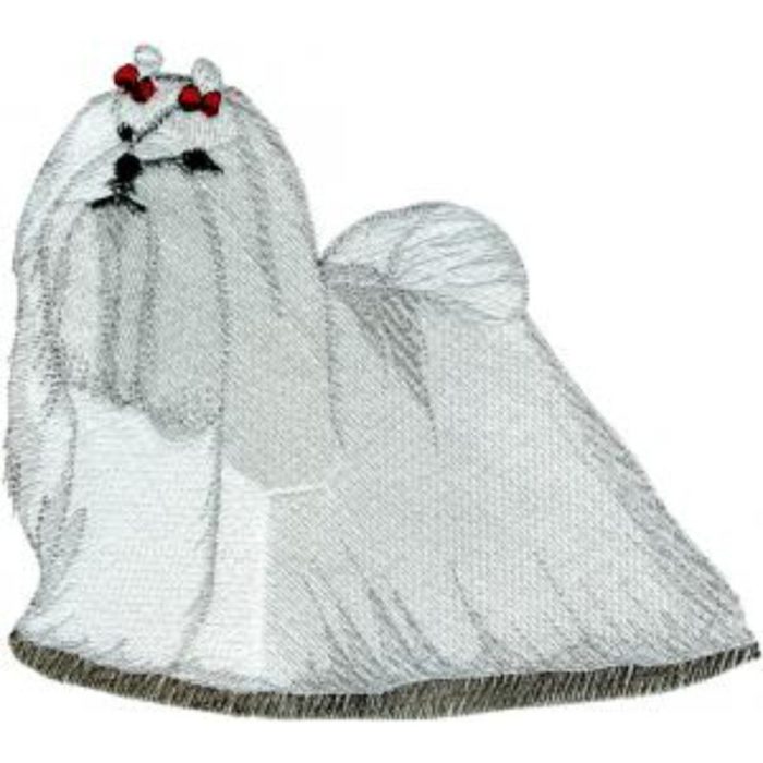 Dog-Dc1019 - Image 1