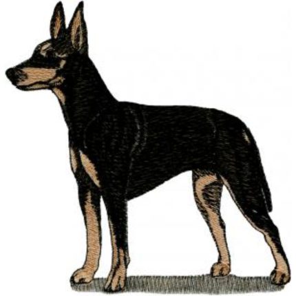 Dog-Dc1023