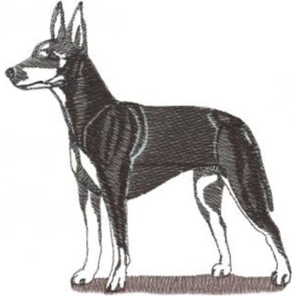 Dog-Dc1025