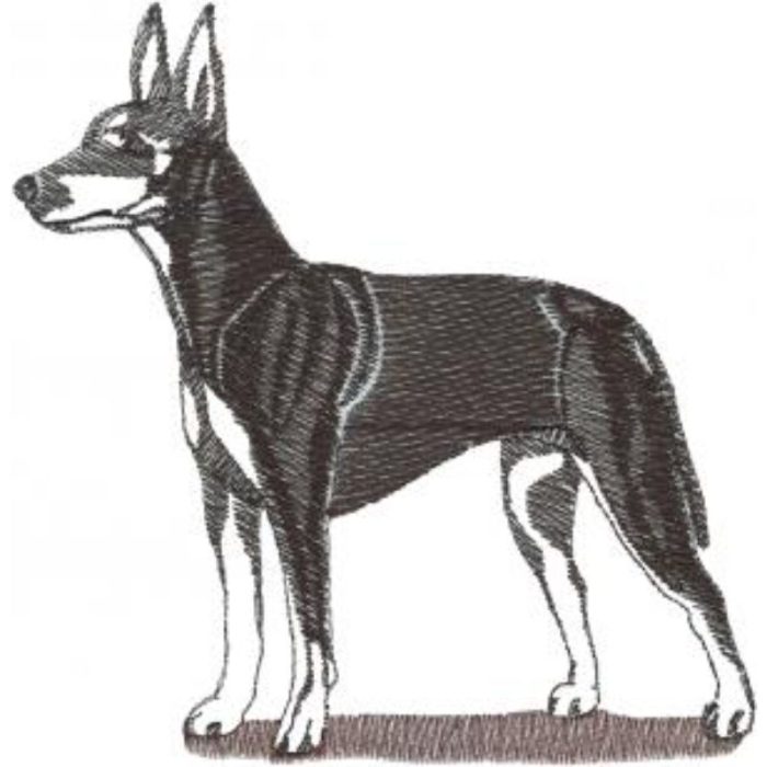 Dog-Dc1025 - Image 1