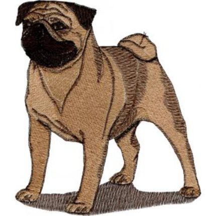 Dog-Dc1047