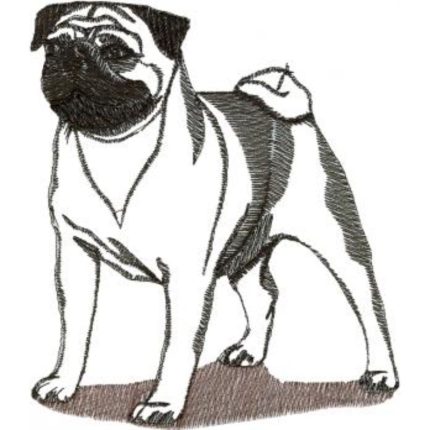 Dog-Dc1049