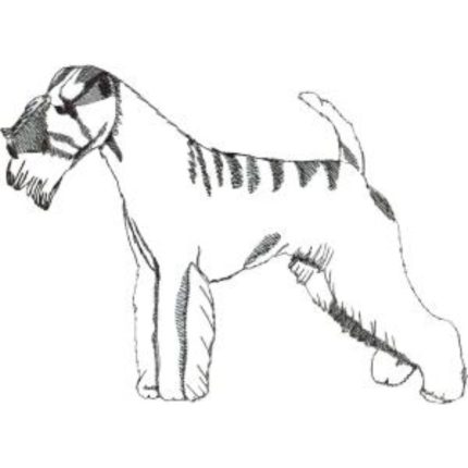 Dog-Dcg137