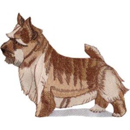 Dog-Dcg141
