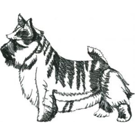 Dog-Dcg143