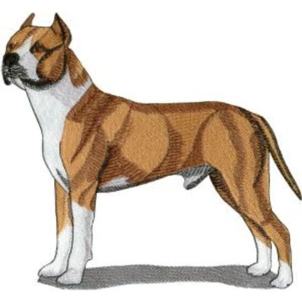 Dog-Dcg156