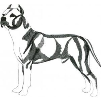 Dog-Dcg158