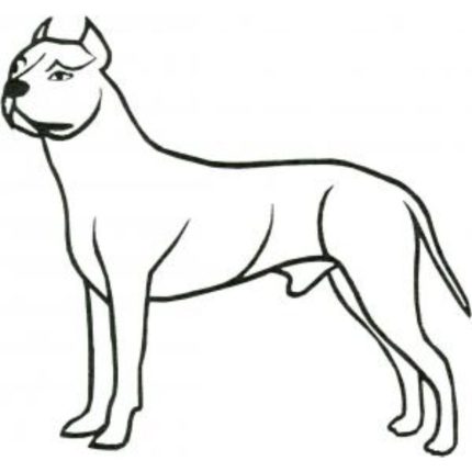 Dog-Dcg160