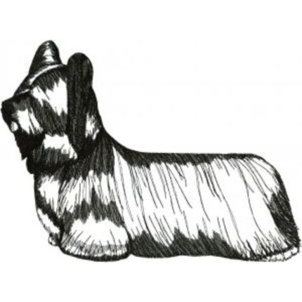Dog-Dcg164