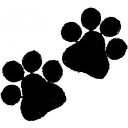 Cat-Dcg185