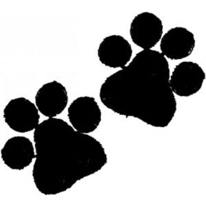 Cat-Dcg185 - Image 1