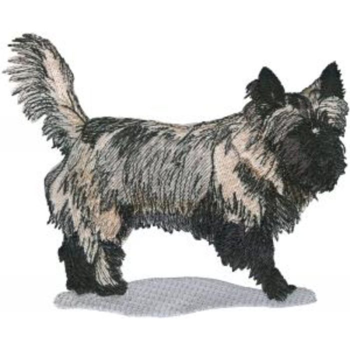 Dog-Dcg194 - Image 1
