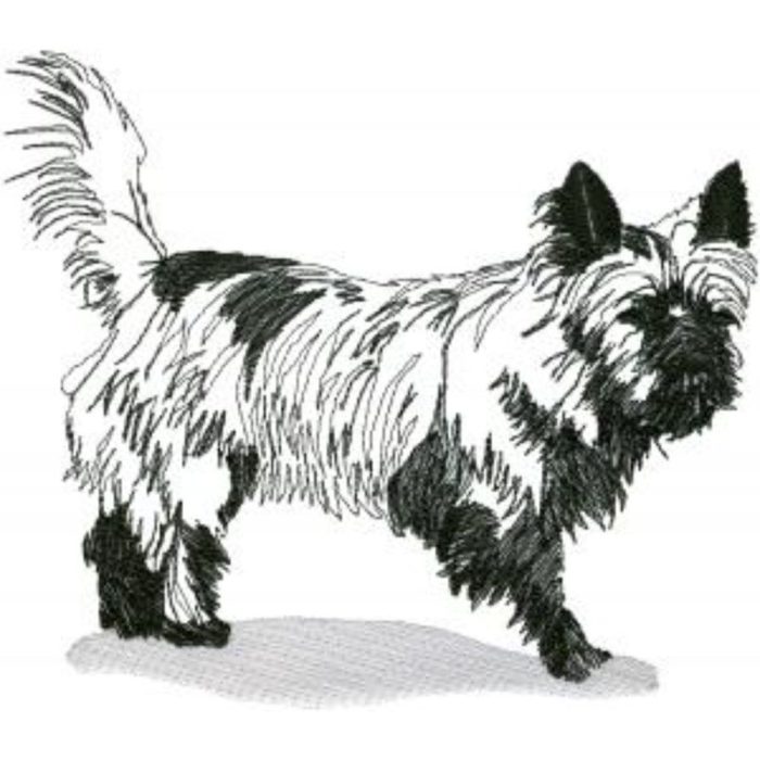 Dog-Dcg196 - Image 1