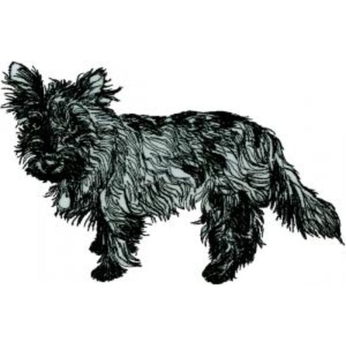 Dog-Dcg200 - Image 1