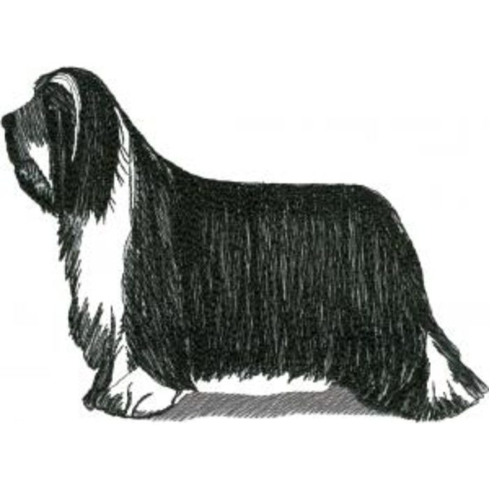 Dog-Dcg204 - Image 1
