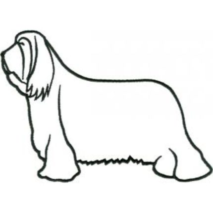 Dog-Dcg206