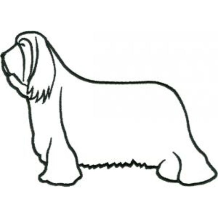 Dog-Dcg206 - Image 1