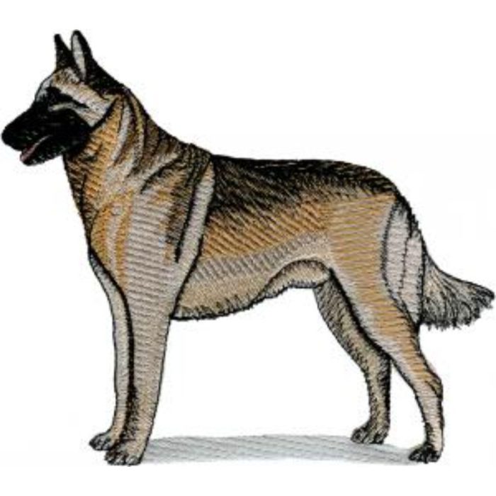 Dog-Dcg208 - Image 1