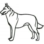 Dog-Dcg212