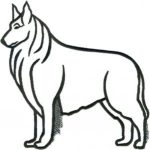 Dog-Dcg224