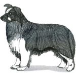 Dog-Dcg228