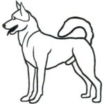 Dog-Dcg248