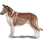 Dog-Dcg262