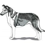 Dog-Dcg264