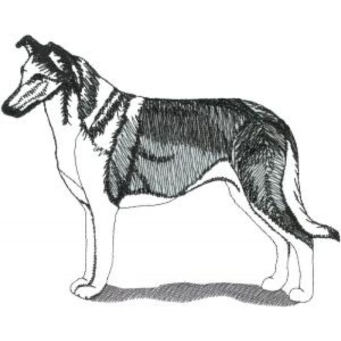 Dog-Dcg264 - Image 1