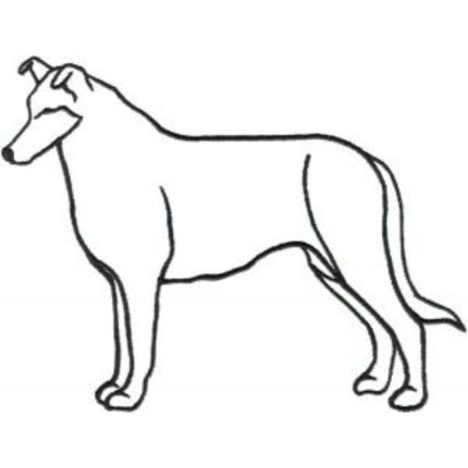 Dog-Dcg266