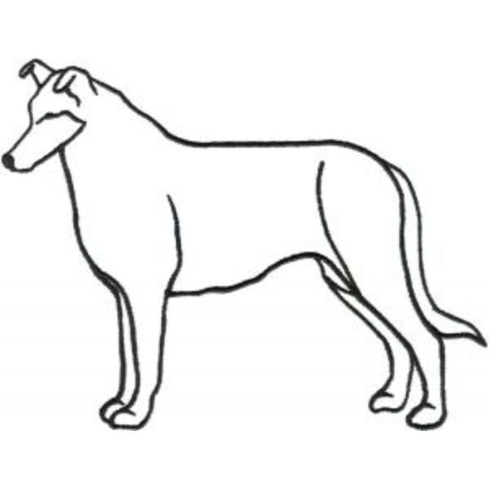 Dog-Dcg266 - Image 1
