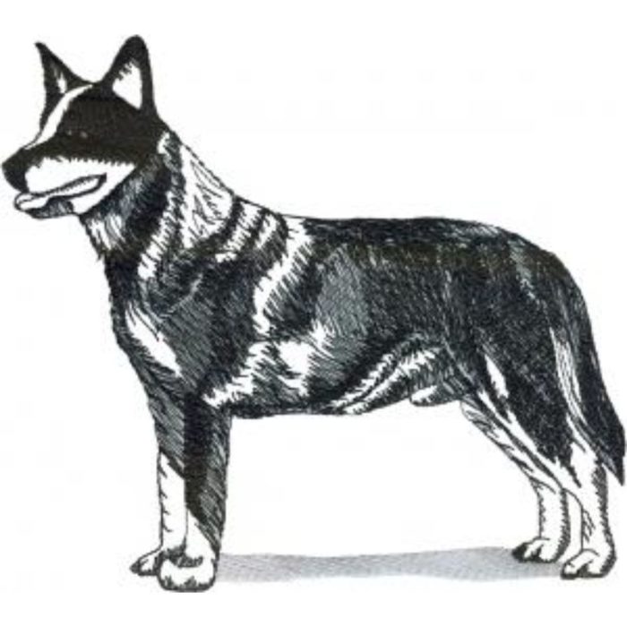 Dog-Dcg270 - Image 1