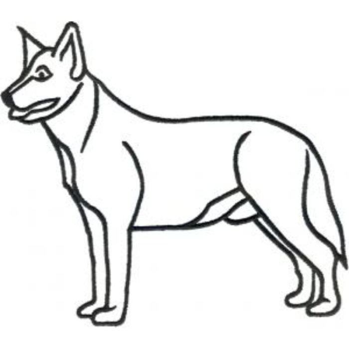 Dog-Dcg272 - Image 1