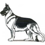 Dog-Dcg276