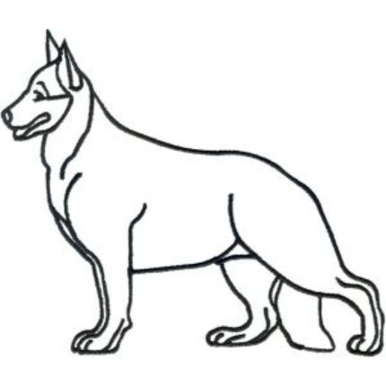 Dog-Dcg278