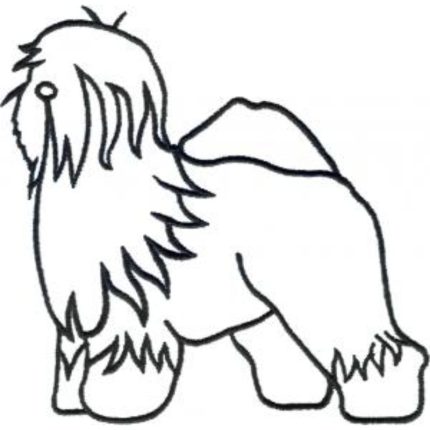 Dog-Dcg284