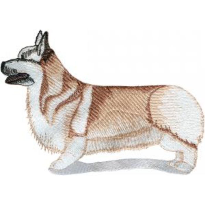 Dog-Dcg286 - Image 1