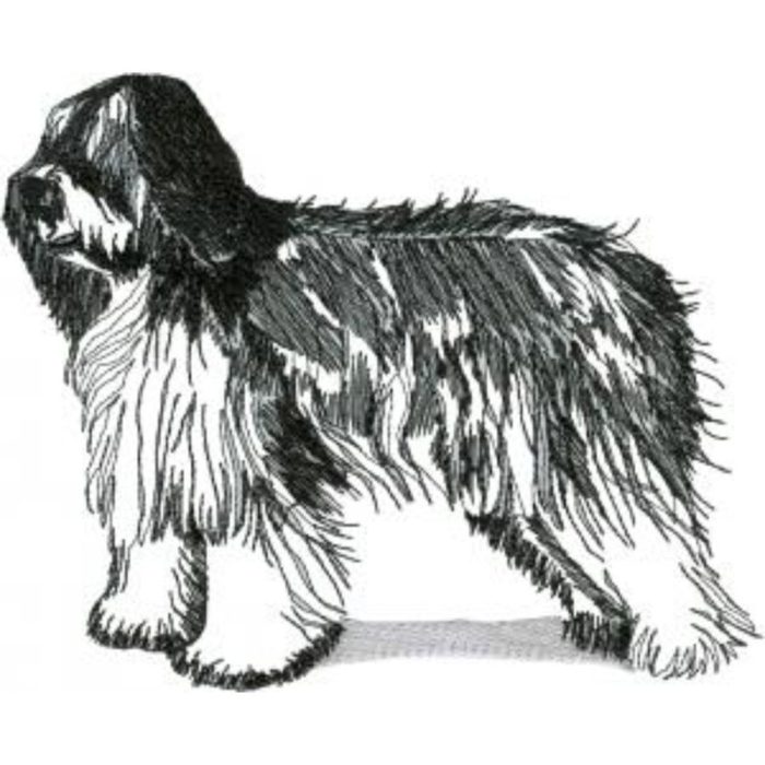 Dog-Dcg294 - Image 1