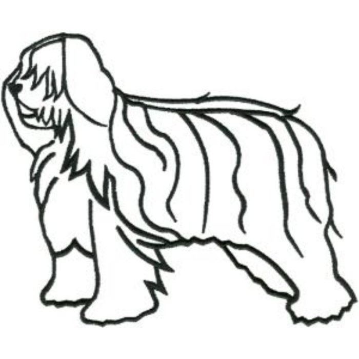 Dog-Dcg296 - Image 1
