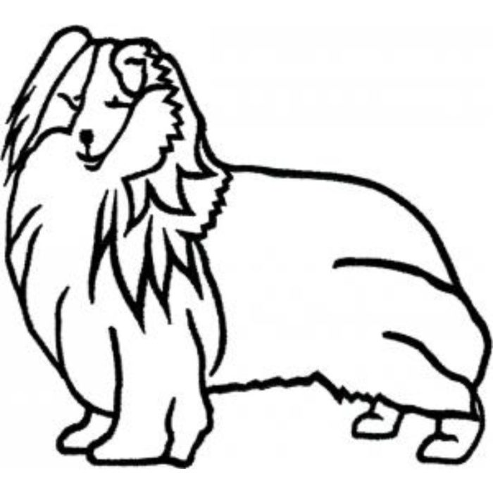 Dog-Dcg308 - Image 1